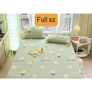 Chiếu điều hòa kèm 2 vỏ gối nằm size 1m6x2m,1m8x2m