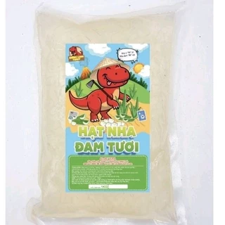 Thạch Nha Đam Tươi 1kg