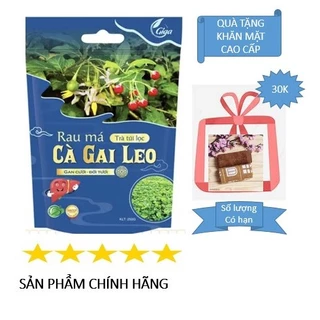 Trà Cà Gai Leo Rau Má BYD 250 g - 60 túi lọc, giảm mụn,nóng trong,mẩn ngứa,mề đay, các vấn đề về Gan