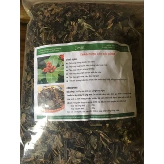 Cây sói rừng 1kg ( giá sỉ )