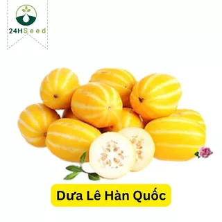 Hạt giống dưa lê Hàn Quốc vỏ vàng 24HSeed