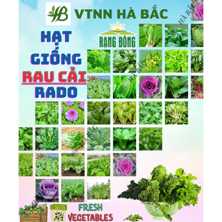 Hạt Giống Cải RADO Nảy Mầm Tốt, Dễ Trồng, Mọc Quanh Năm, Nhanh Thu Hoạch - Hạt Giống Rạng Đông