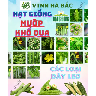 Hạt giống Mướp Ngọt - Mướp Đắng (Khổ Qua) Dễ Thu Hoạch, Trồng Quanh Năm - Hạt Giống Rau Củ Quả Rạng Đông