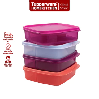 Hộp cơm chia ngăn 550ml LollyTup (1 hộp) - Tupperware