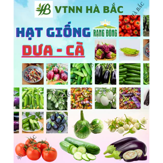 Hạt giống các Loại DƯA - CÀ RADO Trồng Quanh Năm, Sinh Trưởng Tốt, Chịu Nhiệt Tốt, Hạt Giống Trồng Chậu Rạng Đông