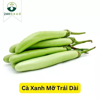 Hạt giống cà xanh mỡ trái dài 24HSeed