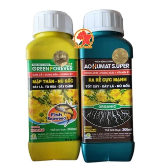 Bộ dưỡng Chuyên Mai 300ml, Ra rễ, mập thân, gù gốc, dày lá, nụ to.