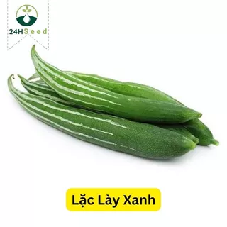 Hạt giống lặc lày lai F1 mềm ngọt 24HSeed