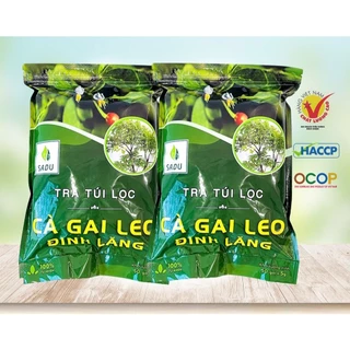 Trà túi lọc cà gai leo dinh lăng 500g (100 túi lọc) mới