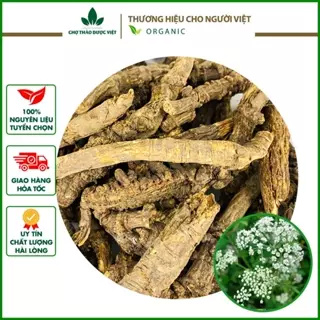 Khương hoạt xịn 100g, hàng chuẩn loại 1, khô, thơm phức - Chợ Thảo Dược Việt