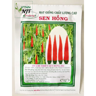 Hạt giống ỚT CHỈ THIÊN Sen Hồng 084 gói 5gram - VTNN Nguyễn Thanh Tuyền