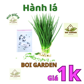 [Deal 1k] 30 hạt Hạt giống HÀNH LÁ (11)