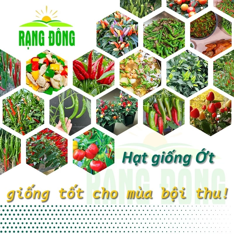 Combo Các Loại Ớt - Ớt Xiêm, Ớt Sừng, Ớt Ấn Độ, Ớt Chỉ Thiên, Ớt Chỉ Địa, Ớt Hiểm, Ớt Kiểng, Ớt Chuông