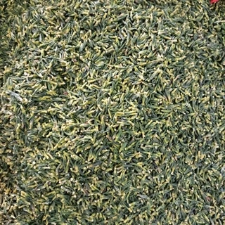 Tâm hạt sen 100g