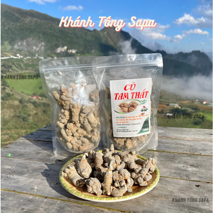 Củ Tam Thất Sapa 500G | Dược liệu tây bắc hàng chuẩn loại to