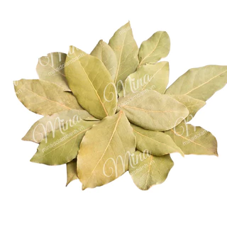 Lá Nguyệt Quế khô 10g (Lá BayLeaf)