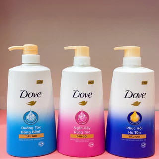 Dầu gội Dove 640g