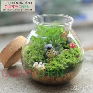 Rêu thật sấy khô (Tưới nước là xanh tươi lại) trang trí tiểu cảnh bán cạn terarium