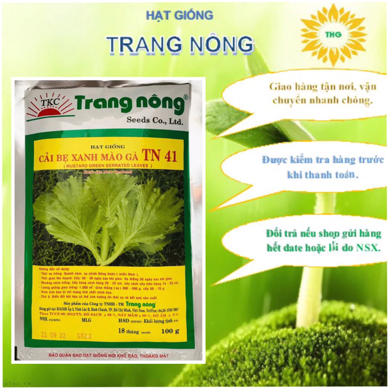 Hạt giống cải bẹ mào gà Trang Nông TN41 gói 100gr