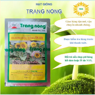 Hạt giống hoa hướng dương lùn vàng Trang Nông 5gram