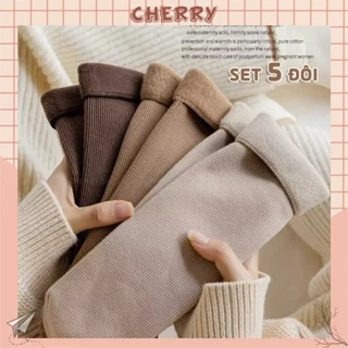 Tất cổ cao nữ chất liệu cotton dày dặn, phong cách Hàn Quốc basic dễ phồi đồ - Cherry Shop