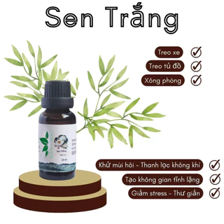 Tinh Dầu Sen Trắng Thơm Dịu Dàng Cho Thiền và Tịnh Tâm