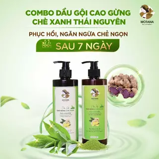 Cặp dầu gội xả dược liệu gừng Motana (500ml) hỗ trợ tình trạng rụng tóc, phục hồi tóc hư tổn chiết suất chè xanh