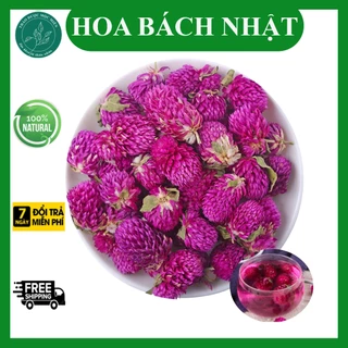 Trà Hoa Bách nhật tím sấy khô 100g giúp mát gan, giảm mụn nhọt, tăng cường thị lực