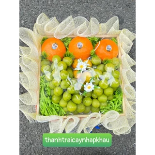 {Thanh Fruit -Hỏa Tốc}Giỏ Trái Cây Quà Tặng  Sang Trọng Tiết Kiệm chỉ 299k