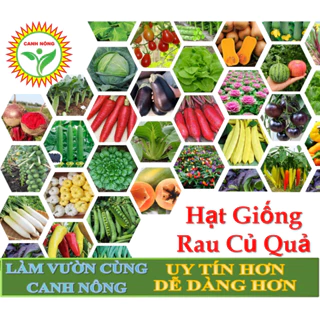 Hạt giống Rau Củ Quả trồng chậu, rau ăn lá, dây leo, nảy mầm tốt, nhanh thu hoạch - Hạt giống CANH NÔNG