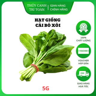 Hạt giống Cải Bó Xôi (Rau Chân Vịt) chịu nhiệt, sinh trưởng khỏe, trồng quanh năm (gói 5g) - Hạt giống Rạng Đông