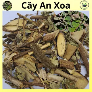 Cây An Xoa - Loại khô, hàng sạch, mới - túi 500g và 1kg