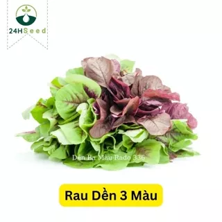 Hạt giống rau dền ba màu gói 20 gam 24HSeed