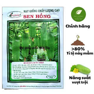 Hạt Giống Bí Đao Lai F1 SH65 SEN HỒNG (GÓI 2G) - Trái thuôn đẹp, vỏ dày bóng, cây kháng bệnh tốt