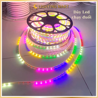 Combo 5M 10M 20M 25M Dây Led chạy đuổi 220V + Tặng nguồn, dây Led trang trí chống nước, sử dụng trang trí Noel, lễ Tết