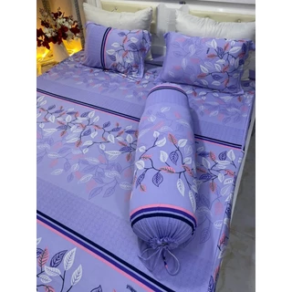 Bộ drap thun vừa rẻ vừa đẹp, nhiều mẫu xinh