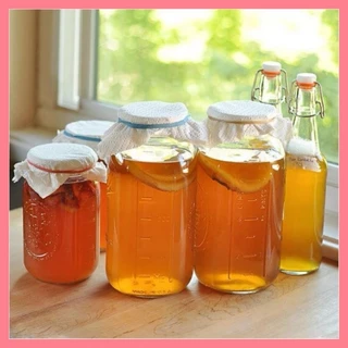 Nấm Scoby/Kombucha kèm nước mồi làm trà Kombucha(con bự và khỏe)