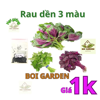 [deal 1k] 400 Hạt giống rau dền 3 màu (8)