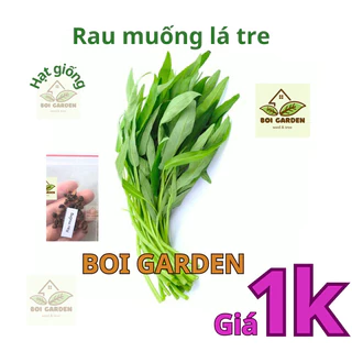 [deal 1k] 30 Hạt giống RAU MUỐNG lá tre (9)