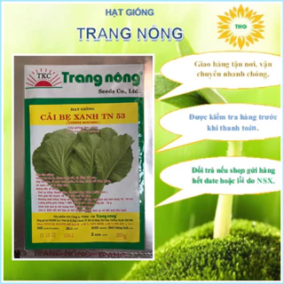 Hạt giống cải bẹ xanh lớn cây chịu mưa Trang Nông