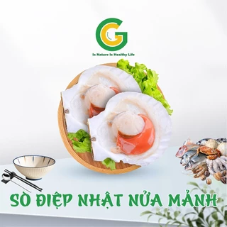 [Freeship HCM] Sò Điệp Nhật Nửa Mảnh Chuyên Nướng 1Kg