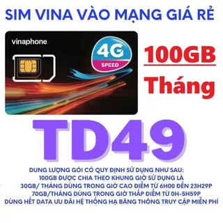 SIM 4G VINA TD49 FREE 100GB/THÁNG ( MIỄN PHÍ 12 THÁNG )