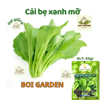 Hạt giống CẢI BẸ XANH MỠ (141)