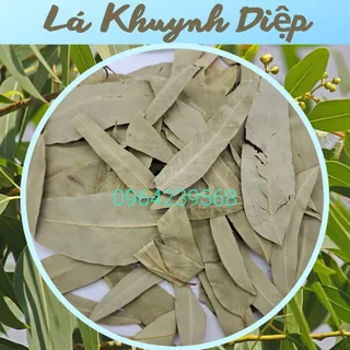 Lá Khuynh Diệp (bạch đàn xanh), loại khô, túi 500g & 1kg