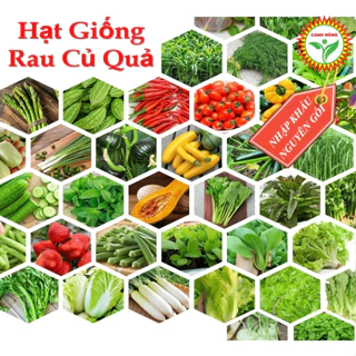 [NGUYÊN GÓI NHẬP KHẨU] Hạt Giống Cây Ăn Trái Dưa Hấu, Dưa Lưới, Dưa Lê Dưa Chuột Hạt Giống Canh Nông Nhập Khẩu