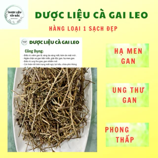 Cà gai Leo Tây Bắc loại 1, hạ men gan, mát gan, giải độc gan,thảo dược sạch bảo vệ sức khỏe gia đình