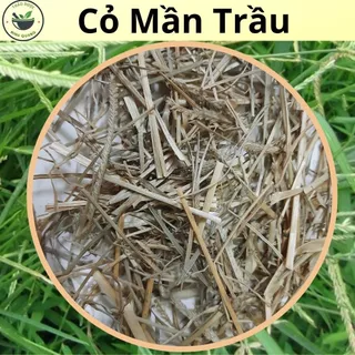 Cây Cỏ Mần Trầu - Túi 500g & 1kg loại khô