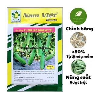 Hạt Giống F1 Dưa Leo Bóng NV 781 Nam Việt (GÓI 10G) - Sai trái, thịt dày, trái màu xanh vừa