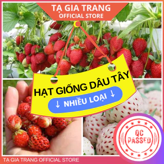 Hạt giống các loại dâu tây ngon