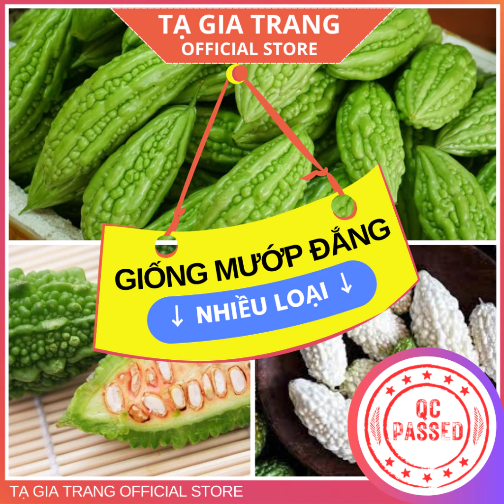 Hạt giống các loại mướp đắng (khổ qua)